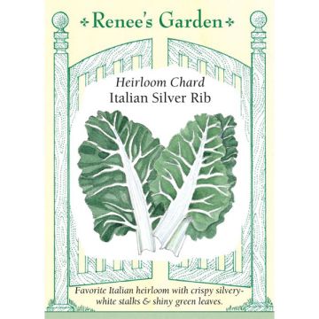 Beta, Chard, Italian Silver Rib ~ 155 seeds