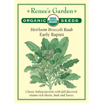 Brassica, Broccoli Raab, Early Rapini ~ 875 seeds