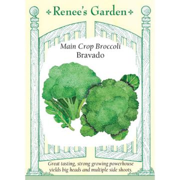 Brassica, Broccoli, Bravado ~ 95 seeds
