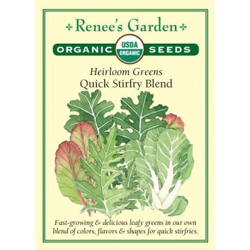 Brassica, Green Mix, Quick Stirfry Blend, ~ 1302 seeds