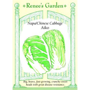 Brassica, Napa Cabbage, Aiko ~ 85 seeds