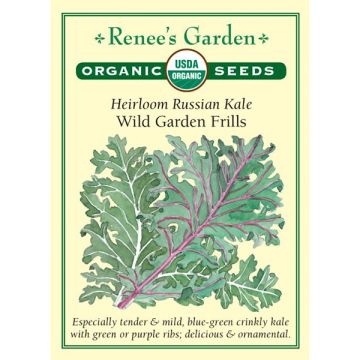 Brassica, Russian Kale Mix, Wild Garden Frills ~ 300 seeds