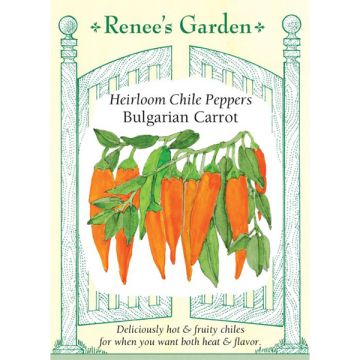 Capsicum, Pepper (Hot), Bulgarian Carrot Chiles ~ 40 seeds