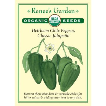 Capsicum, Pepper (Hot), Classic Jalapeño ~ 50 seeds