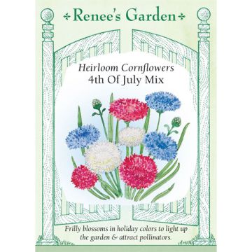 Centaurea, Cornflower, 4th of July Mix, ~ 210 seeds