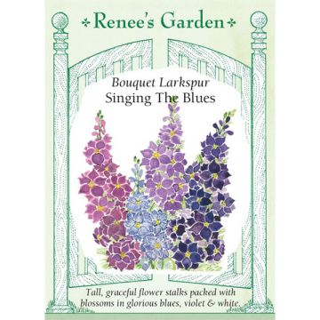 Consolida, Larkspur, Singing the Blues ~ 250 seeds