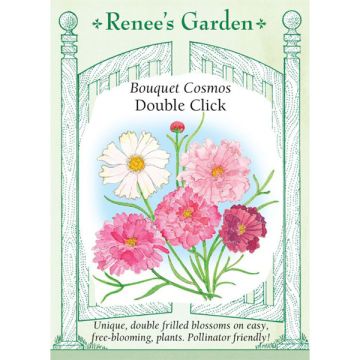 Cosmos, Double Click ~ 50 seeds