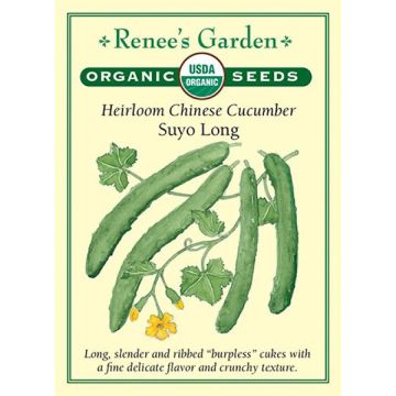 Cucumis, Chinese Cucumber, Suyo Long ~ 33 seeds