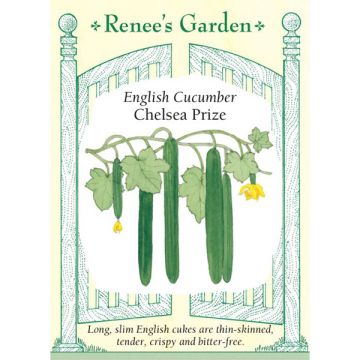 Cucumis, English Cucumber, Chelsea Prize, ~ 12 seeds
