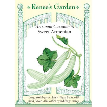 Cucumis, Sweet Armenian ~ 40 seeds