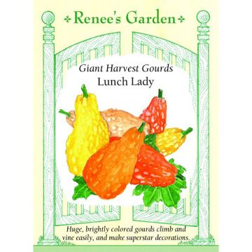 Cucurbita, Gourd, Lunch Lady ~ 15 seeds
