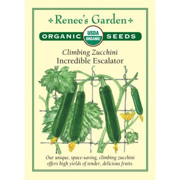 Cucurbita, Squash (Summer),  Climbing Zucchini, Incredible Escalator ~ 13 seeds