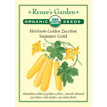 Cucurbita, Squash (Summer), Zucchini, Summer Gold ~ 22 seeds