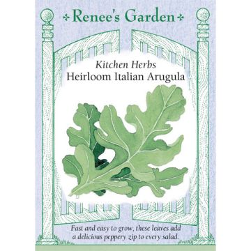 Eruca, Arugula 'Italian' Heirloom ~ 1400 seeds