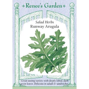 Eruca, Arugula 'Runway' ~ 1400 seeds