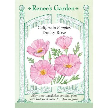 Eschscholzia, Poppy, California Poppies Dusky Rose ~ 1275 seeds