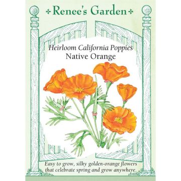 Eschscholzia, Poppy, California Poppies Native Orange, ~ 1275 seeds