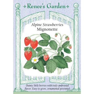 Fragaria, Alpine Strawberries, Mignonette ~ 325 seeds