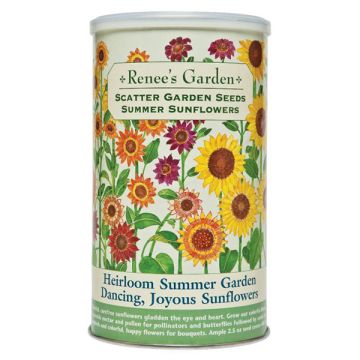 Helianthus, Sunflower, Heirloom Summer Garden Dancing Joyous Sunflowers, Scatter Can ~ 400 sqft