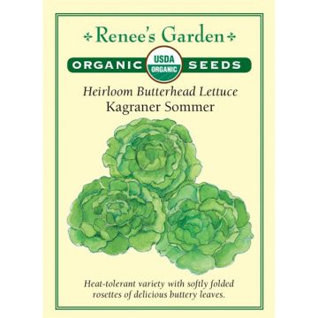 Lactuca, Butterhead Lettuce, Kagraner Sommer ~ 1450 seeds