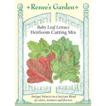 Lactuca, Lettuce Mix, Baby Leaf Lettuce Cutting Mix ~ 1400 seeds