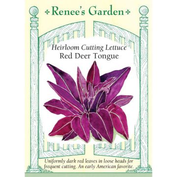 Lactuca, Lettuce, Red Deer Tongue ~ 845 seeds