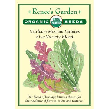 Lactuca, Mesclun Lettuce Mix, Five Variety Blend ~ 1000 seeds