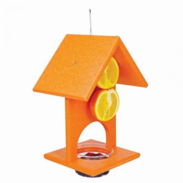 Songbird Essentials™ Fruit & Jelly Oriole Feeder