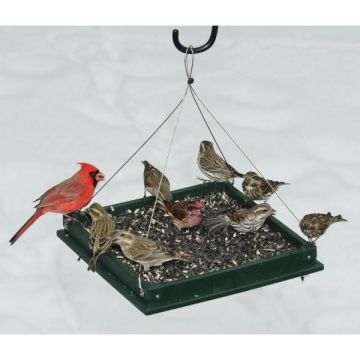 Songbird Essentials™ Hanging Platform Feeder 12.5in