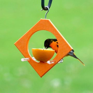 Songbird Essentials™ Diamond Oriole Feeder