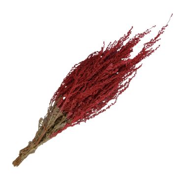 Silver Sage, Dipped 'Red'