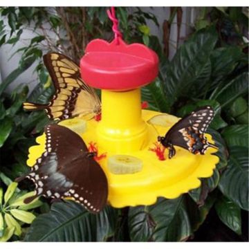 Songbird Essentials SE78215 Butterfly Feeder & Nectar Combo