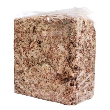 Sphagnum Moss Garden Bale, Natural White, 2.2 lbs.