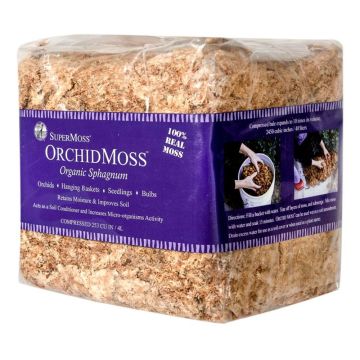 Sphagnum Moss Mini Bale, Natural White, 1.1 lbs.