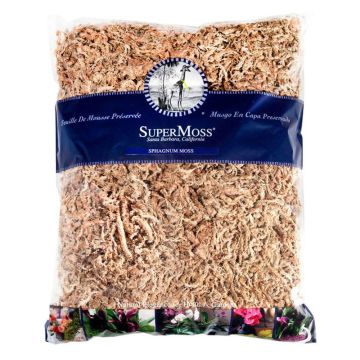 Sphagnum Moss, Natural White