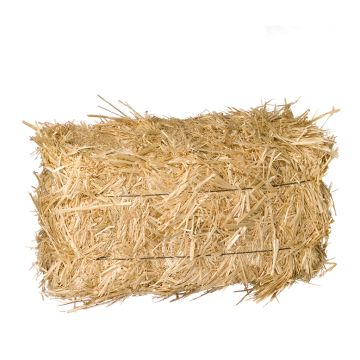 Yard Decor, Straw Bale