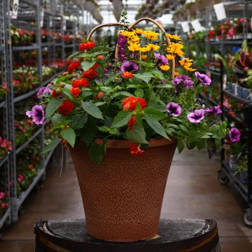 'Night on the Town' Helix Combo Patio Tub