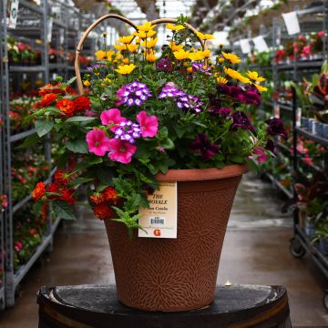 'The Royal' Helix Combo Patio Planter