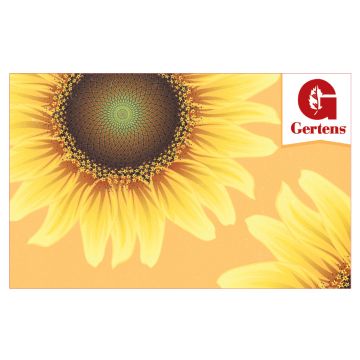 Sunflowers - Gift Card