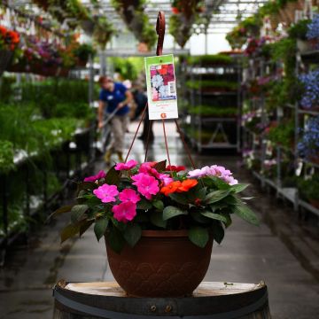 12.8” Hanging Baskets