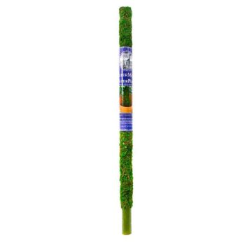 SuperMoss, Moss Pole Fresh Green, 30"