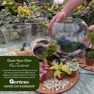 Terrarium Workshop | Saturday March 28th at 2pm