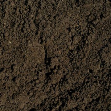 Green Loon® Seeding Soil per tote