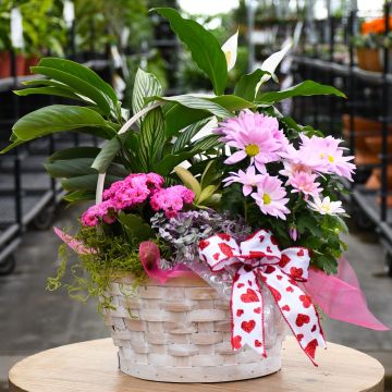 Valentine Living Arrangement