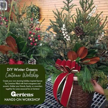 Winter Greens Container Workshop | Saturday November 15th 10am