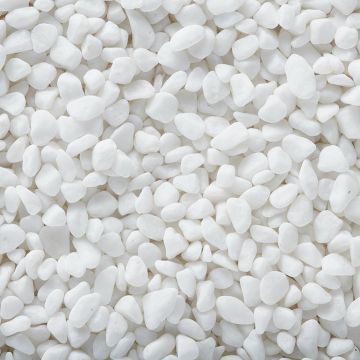 Exotic Pebbles & Glass Natural Bean Pebbles White 5 lbs