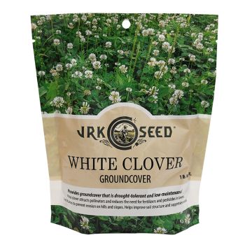JRK® Lawn/Groundcover Clover Seed 'Dutch White Clover'