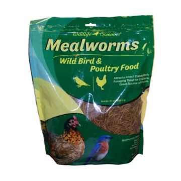 Wildlife Sciences, Mealworms Wild Birds & Poultry Food, 21 oz Bag