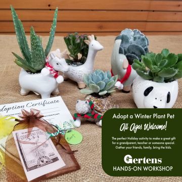 Adopt a Winter Plant Pet | Saturday December 6th 1:00pm