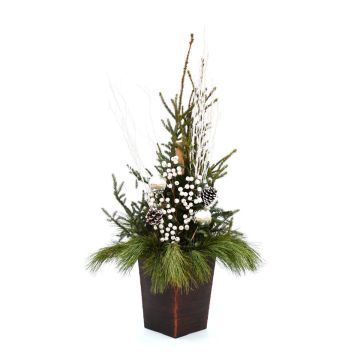 'Winter Wonderland' Spruce Tip Container